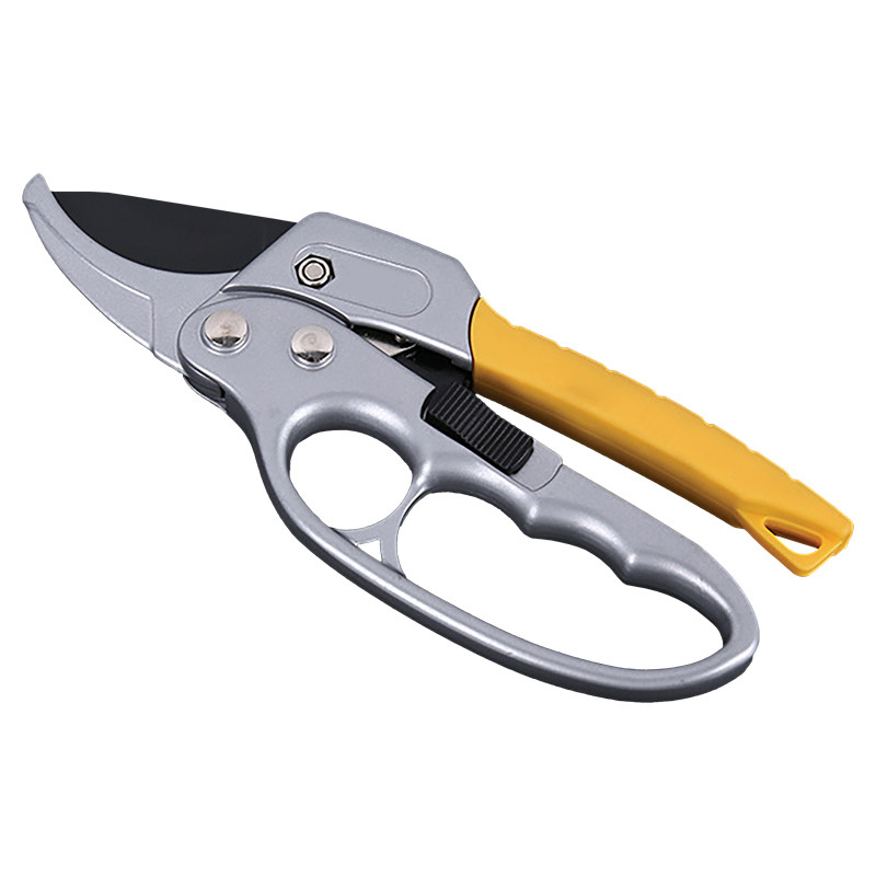 sekator-s-kxrapovym-mekxanizmom-iz-nerzhaveiushchei-stali-dingke-sk5-205-mm-sadovyi-instrument