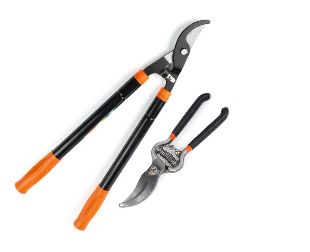 nabor-sadovykx-instrumentov-polax-suchkorez-teleskopicheskii-560-730-mm-i-sekator-sadovyi-s-obvodnym-lezviem-770-26