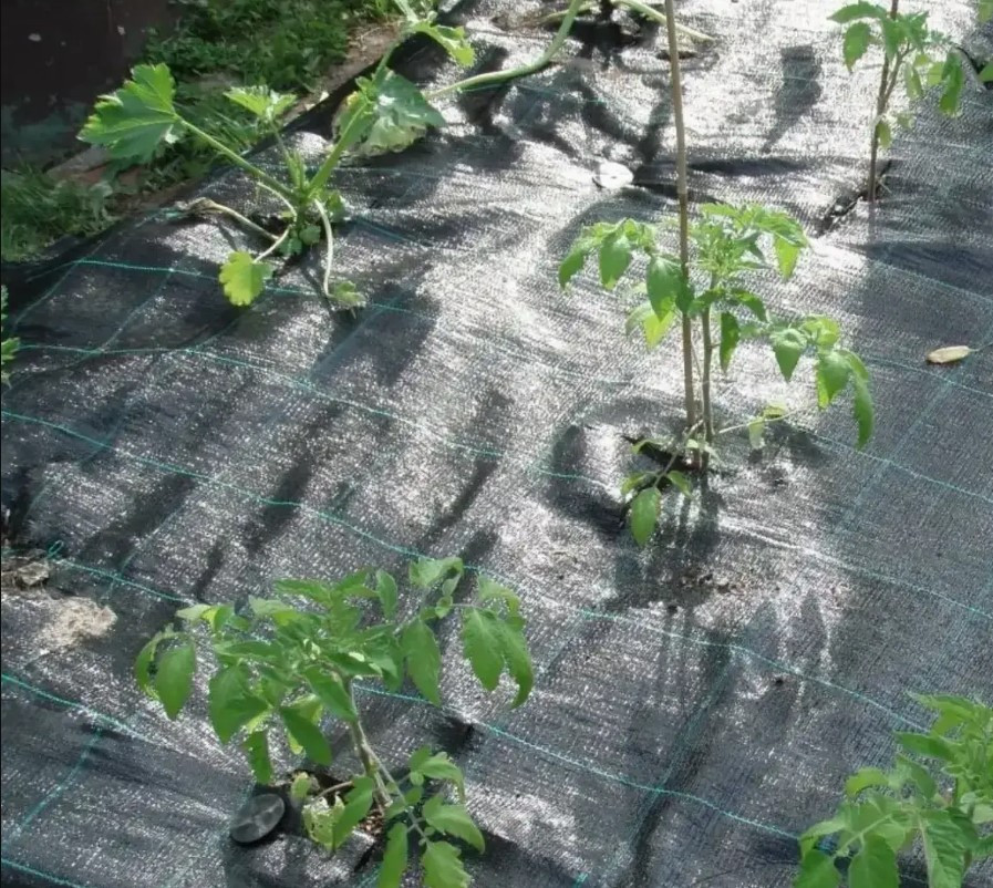 agrotekstil-dlia-mulchirovaniia-shadow-100-g-m2-3-4-kx-10-m-chernyi
