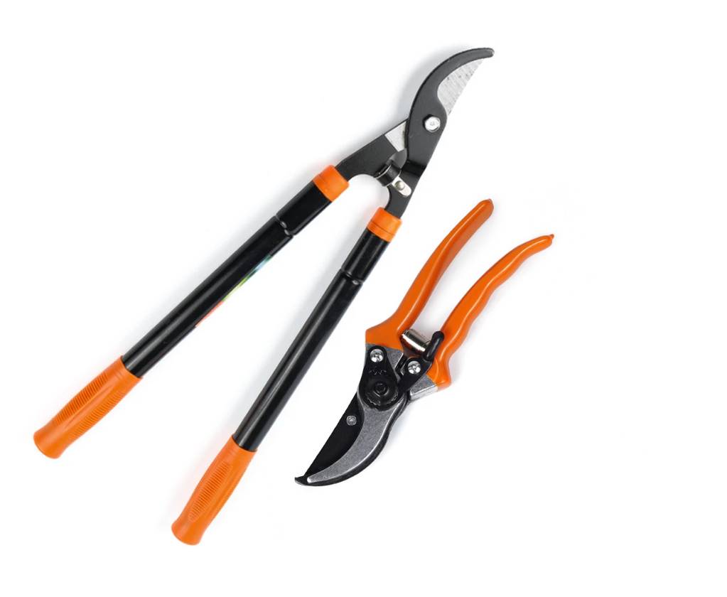 nabor-sadovykx-instrumentov-polax-suchkorez-teleskopicheskii-560-730-mm-i-sekator-s-resoroi-770-25