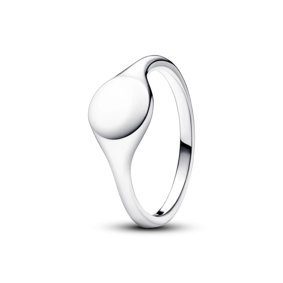 sribna-kabluchka-no-brand-pechatka-193093c00-58