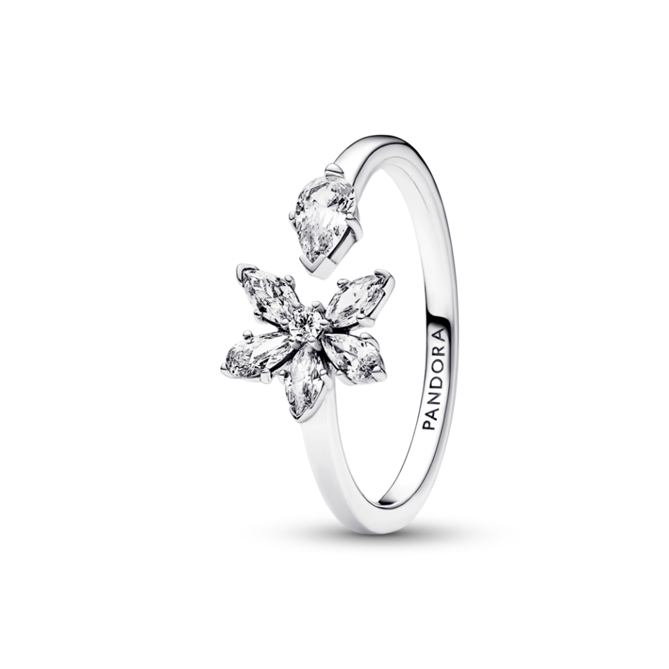 sribna-kabluchka-no-brand-bliskuchii-gerbarii-58