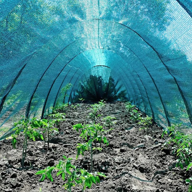 sitka-zatiniaiucha-shadow-120kx80-sm-zatinennia-80-8-m